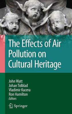 The Effects of Air Pollution on Cultural Heritage