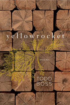 Yellowrocket