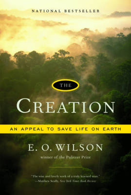 The Creation