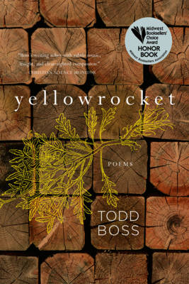 Yellowrocket
