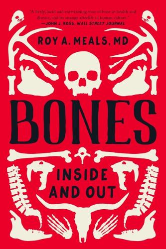 Bones