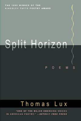 Split Horizon