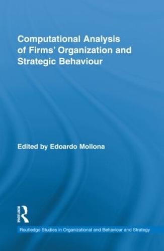 Computational Analysis of Firms’ Organization and Strategic Behaviour