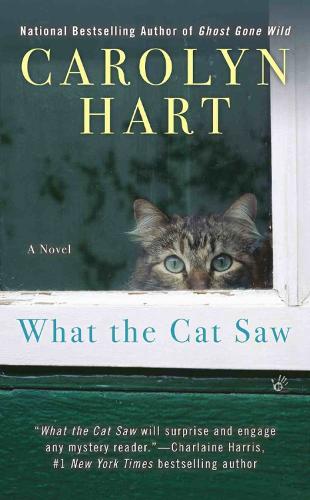What The Cat Saw