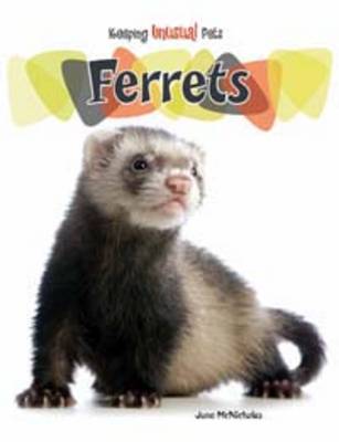 Ferrets