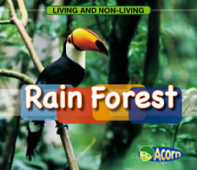 Rain Forest
