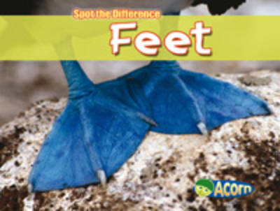 Feet