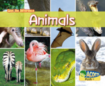 Spot the Difference: Animals