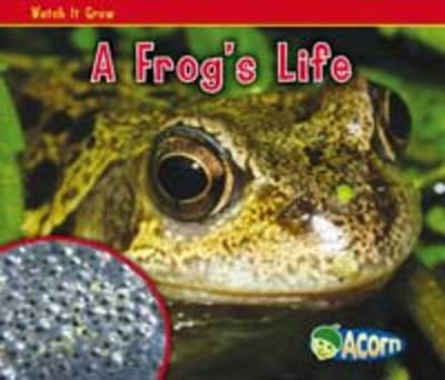 A Frog's Life