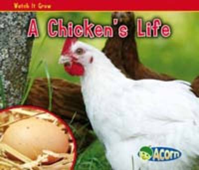 A Chicken's Life