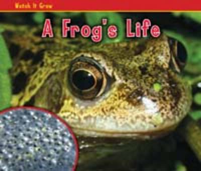 A Frog's Life