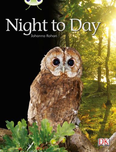 Bug Club Non-fiction Lilac Night to Day 6-pack