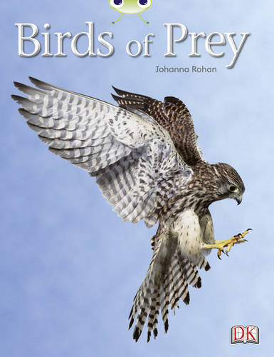 Bug Club Non-fiction White A/2A Birds of Prey 6-pack