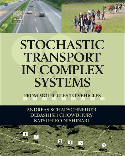 Stochastic Transport in Complex Systems