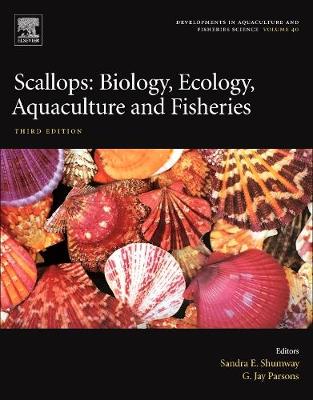 Scallops Volume 40