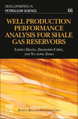 Well Production Performance Analysis for Shale Gas Reservoirs Volume 66