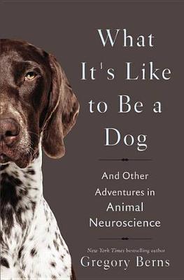 What It's Like to Be a Dog
