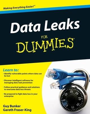 Data Leaks For Dummies