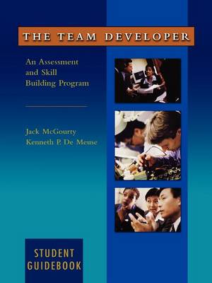 The Team Developer