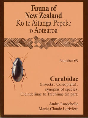 Carabidae