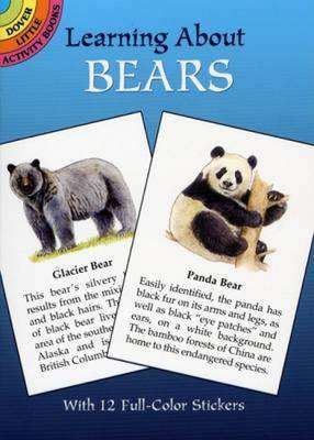 Learning About Bears