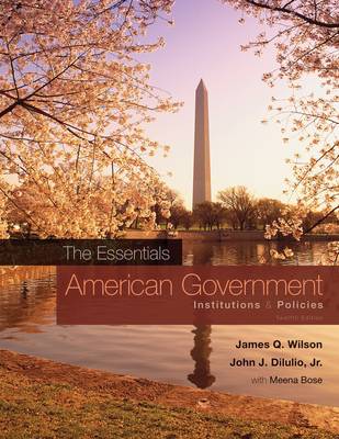 American Government