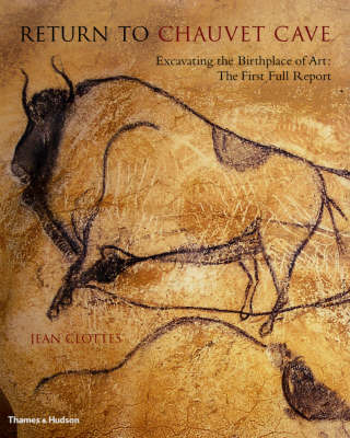 Return to Chauvet Cave