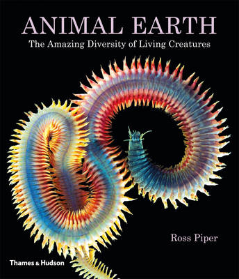 Animal Earth
