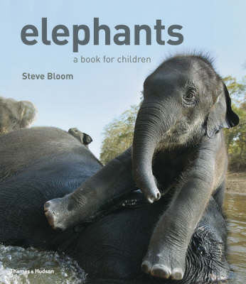 Elephants
