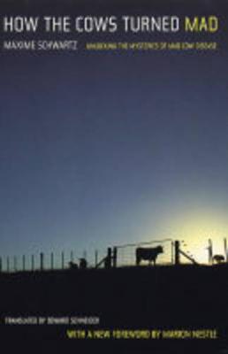 How the Cows Turned Mad