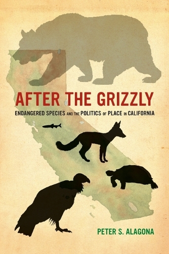 After the Grizzly