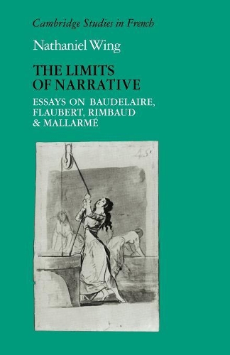 The Limits of Narrative