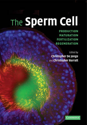 The Sperm Cell