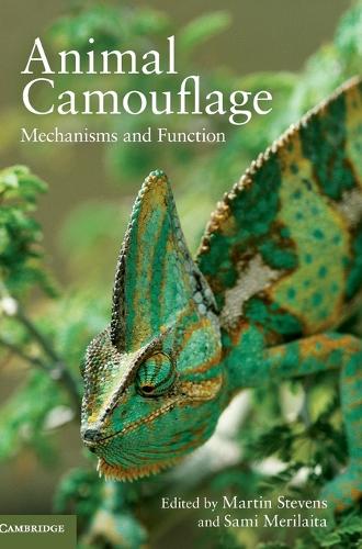 Animal Camouflage