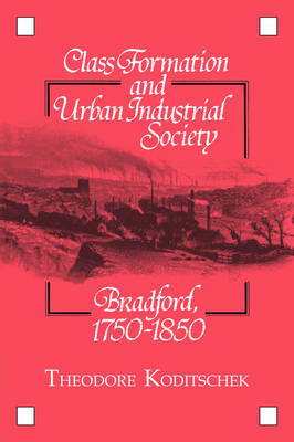 Class Formation and Urban Industrial Society