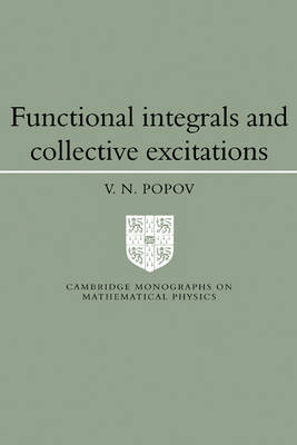 Functional Integrals and Collective Excitations