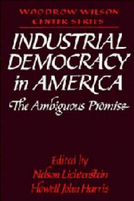 Industrial Democracy in America