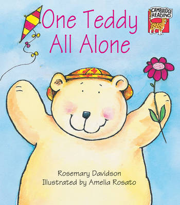 One Teddy All Alone