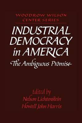 Industrial Democracy in America