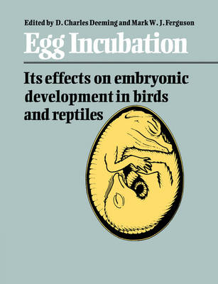 Egg Incubation