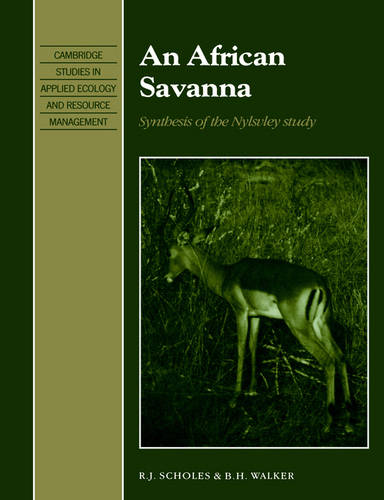 An African Savanna