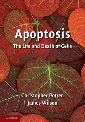 Apoptosis