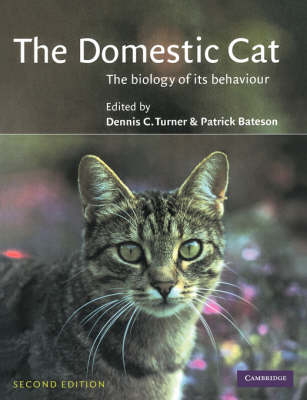 The Domestic Cat