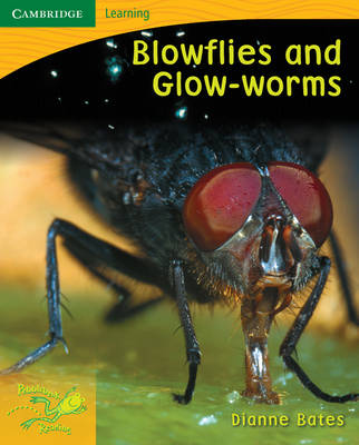 Pobblebonk Reading Module 4: Pobblebonk Reading 4.4 Blowflies and Glow Worms