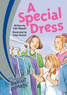 Bright Sparks: Bright Sparks: A Special Dress