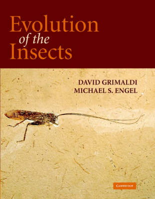 Evolution of the Insects