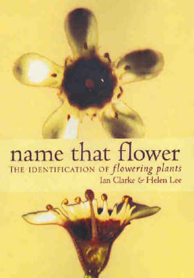 Name That Flower