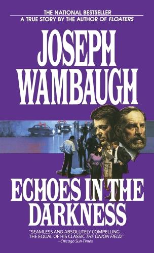 Echoes in the Darkness