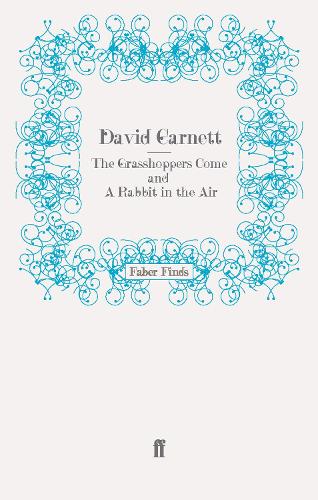 The Grasshoppers Come and A Rabbit in the Air