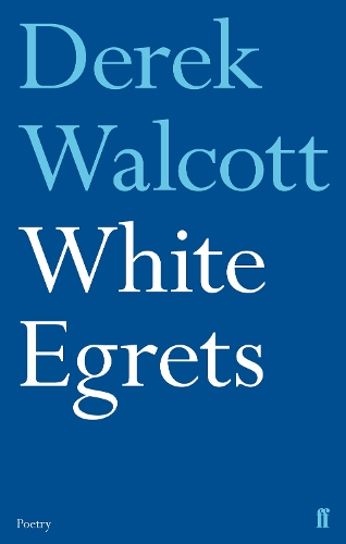White Egrets